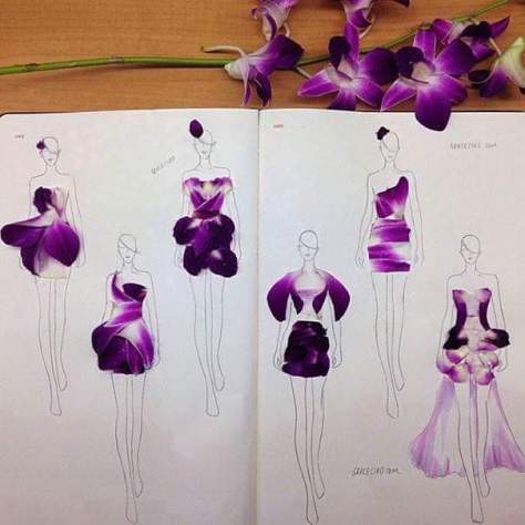 wp-1441818440761 image